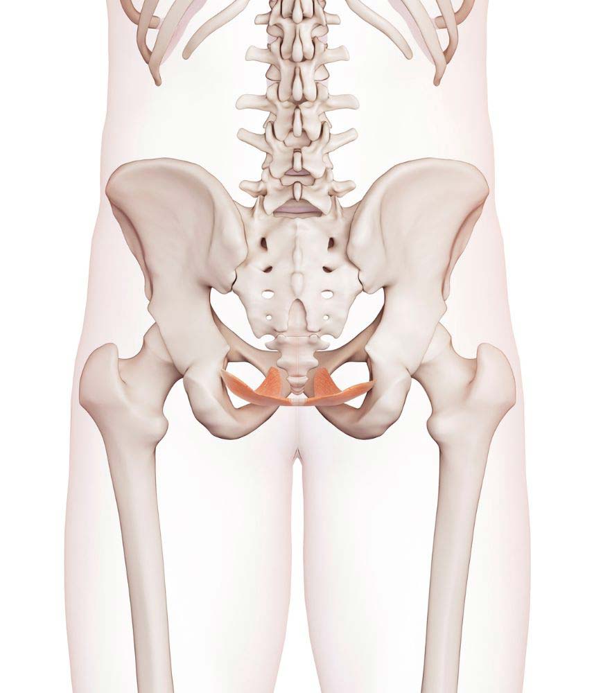 Non-invasive treatments for bladder and bowel incontinence as well as sexual health concerns, supporting women and men on their journey to better pelvic health.